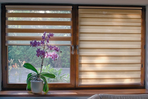 Window-Blinds-for-home